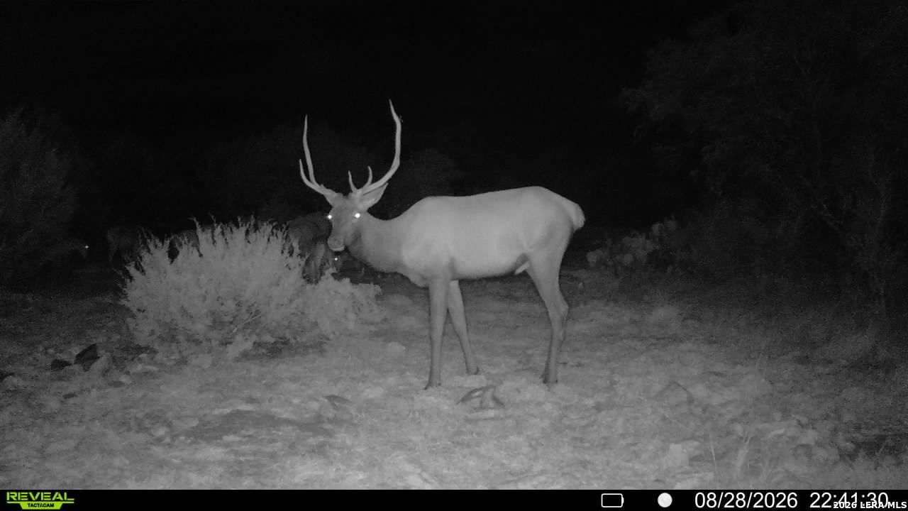 76 Alamo Ranch Rocksprings TX 78880