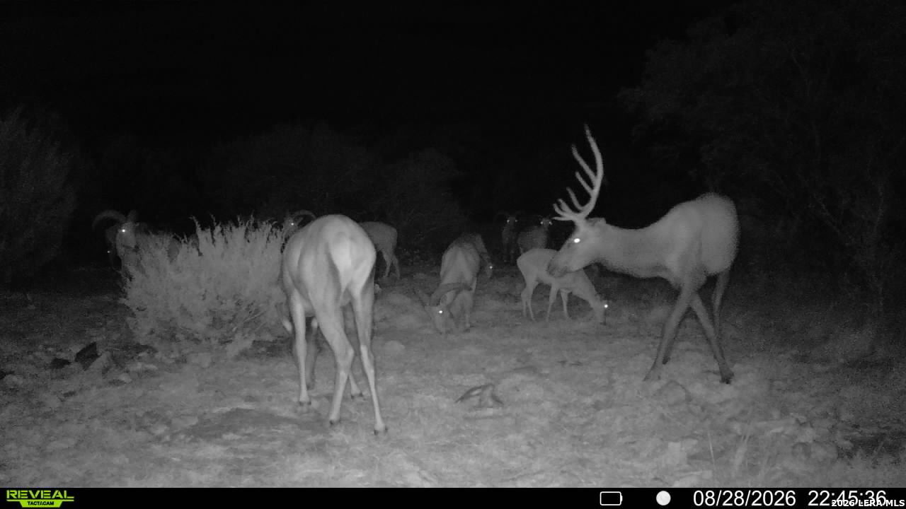 76 Alamo Ranch Rocksprings TX 78880