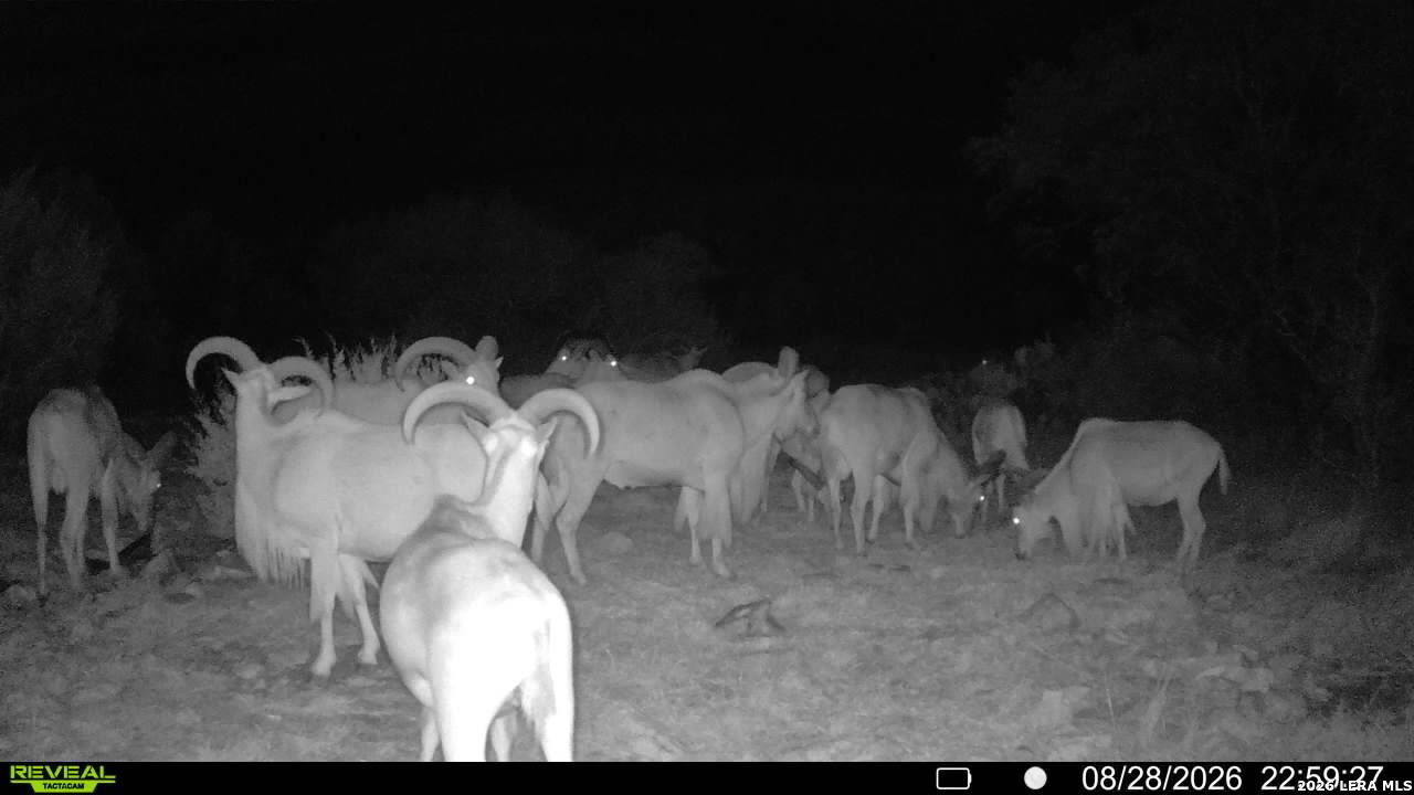 76 Alamo Ranch Rocksprings TX 78880