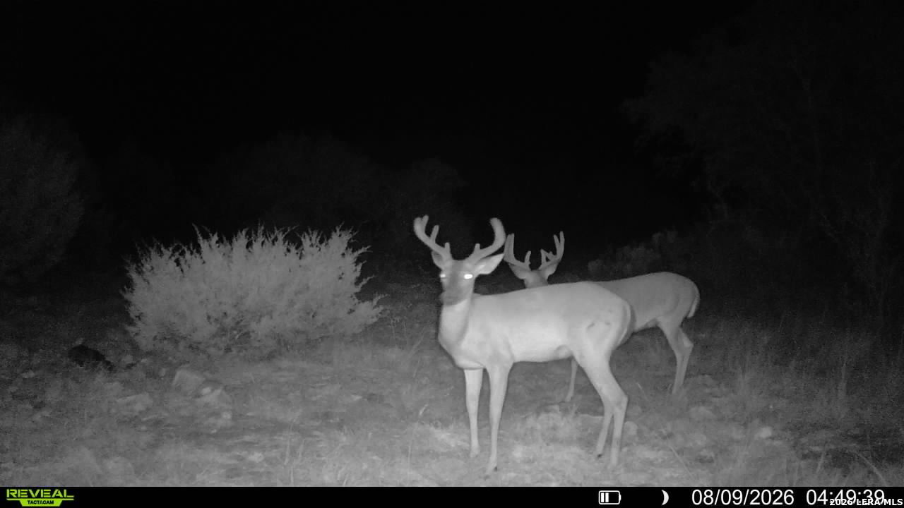 76 Alamo Ranch Rocksprings TX 78880