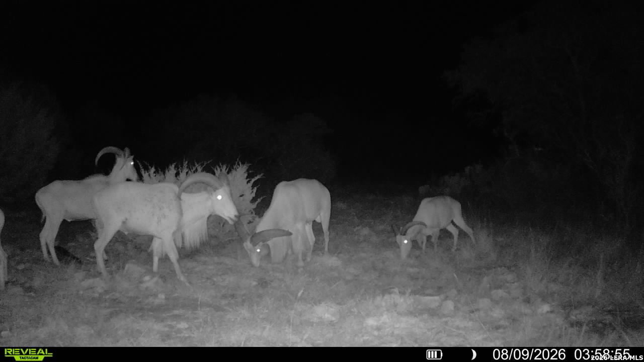 76 Alamo Ranch Rocksprings TX 78880