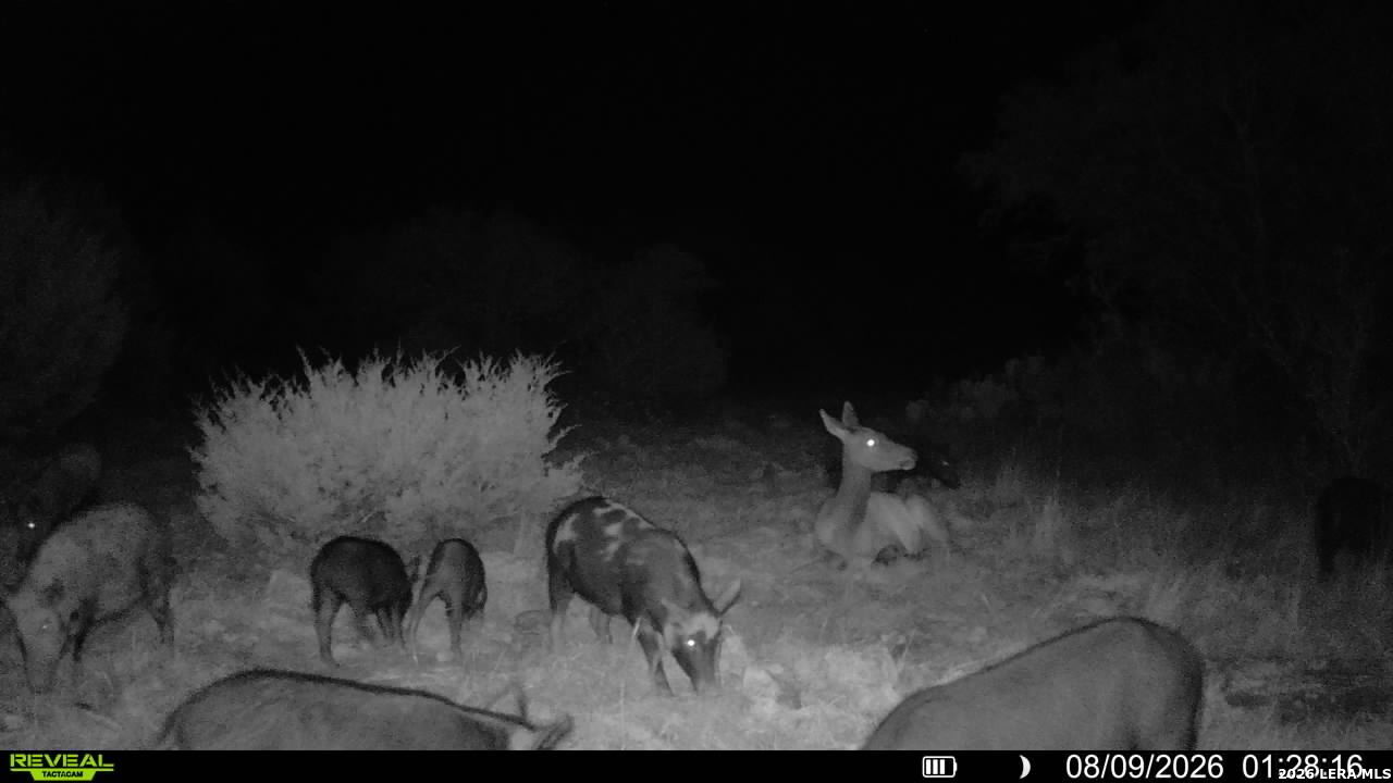 76 Alamo Ranch Rocksprings TX 78880