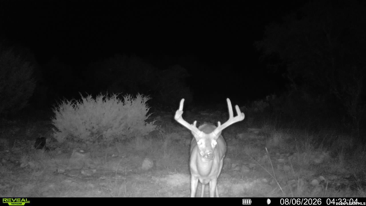 76 Alamo Ranch Rocksprings TX 78880