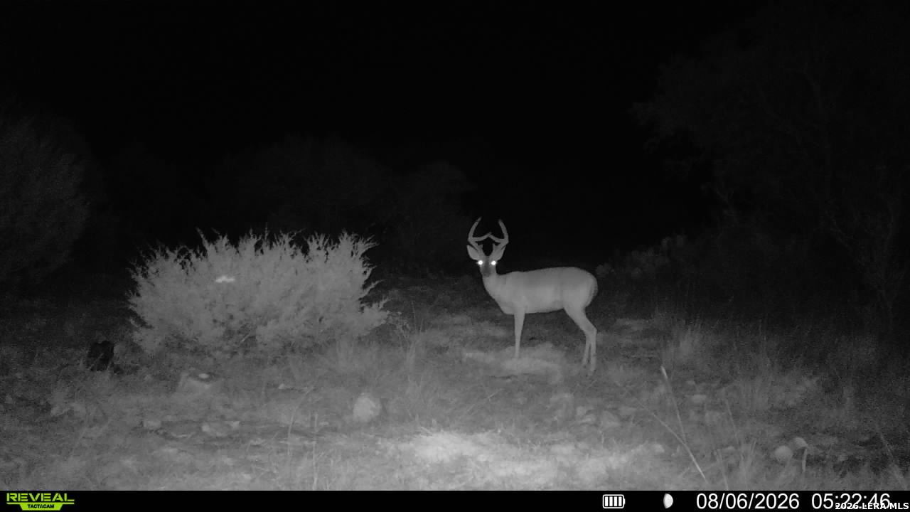 76 Alamo Ranch Rocksprings TX 78880