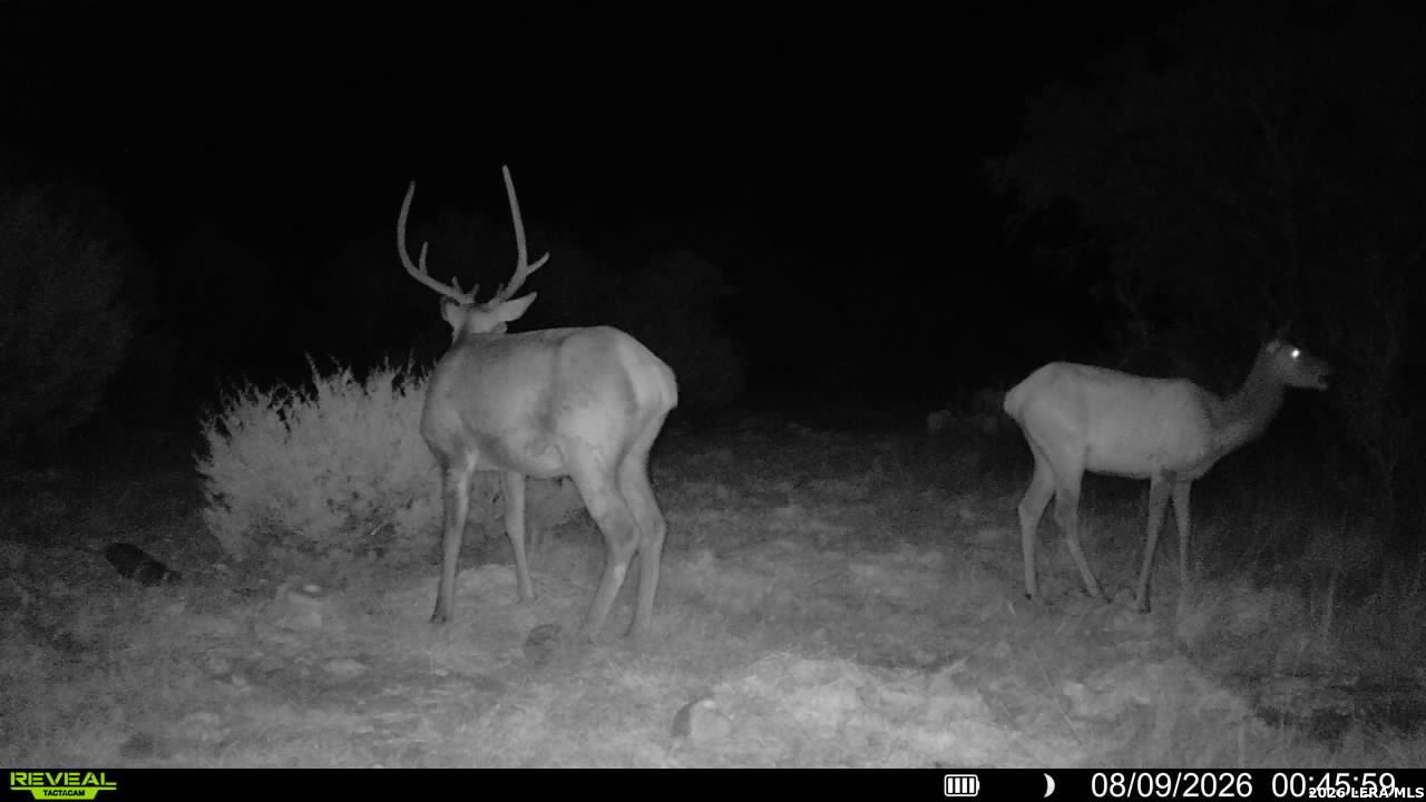 76 Alamo Ranch Rocksprings TX 78880