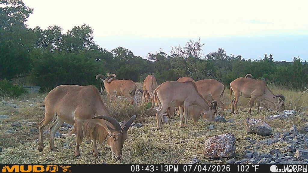 76 Alamo Ranch Rocksprings TX 78880