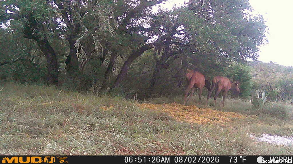 76 Alamo Ranch Rocksprings TX 78880