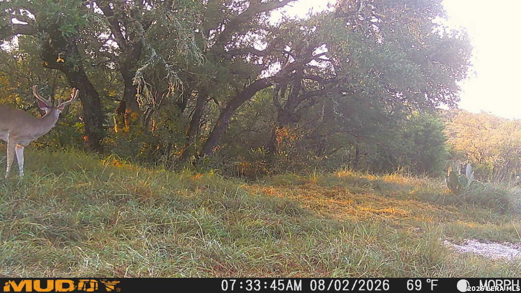 76 Alamo Ranch Rocksprings TX 78880