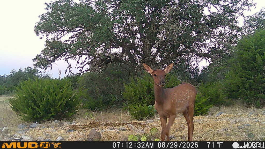 76 Alamo Ranch Rocksprings TX 78880
