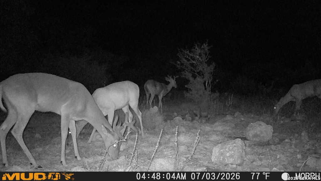 76 Alamo Ranch Rocksprings TX 78880