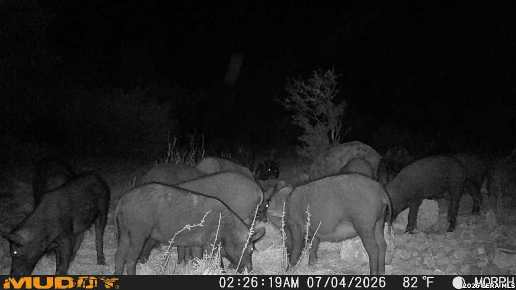 76 Alamo Ranch Rocksprings TX 78880