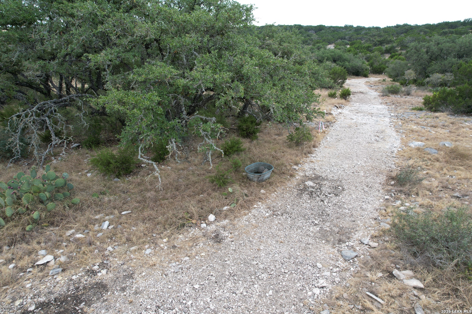 76 Alamo Ranch Rocksprings TX 78880