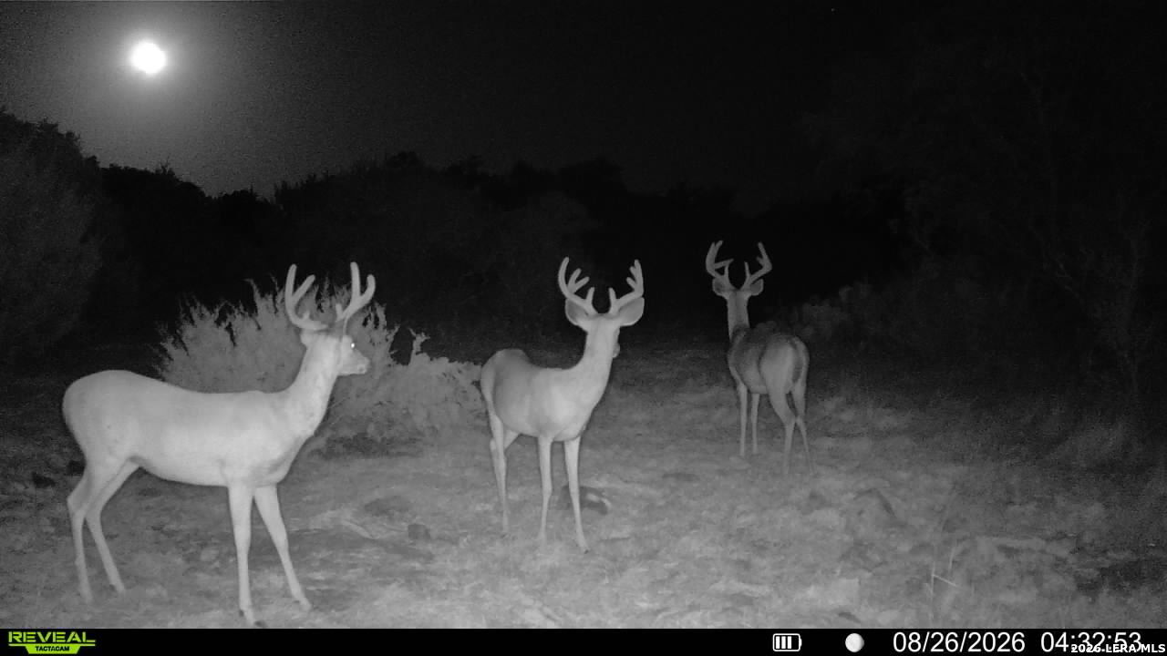 76 Alamo Ranch Rocksprings TX 78880