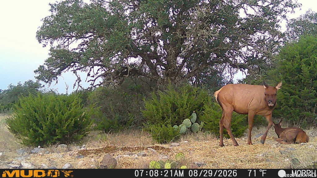 76 Alamo Ranch Rocksprings TX 78880
