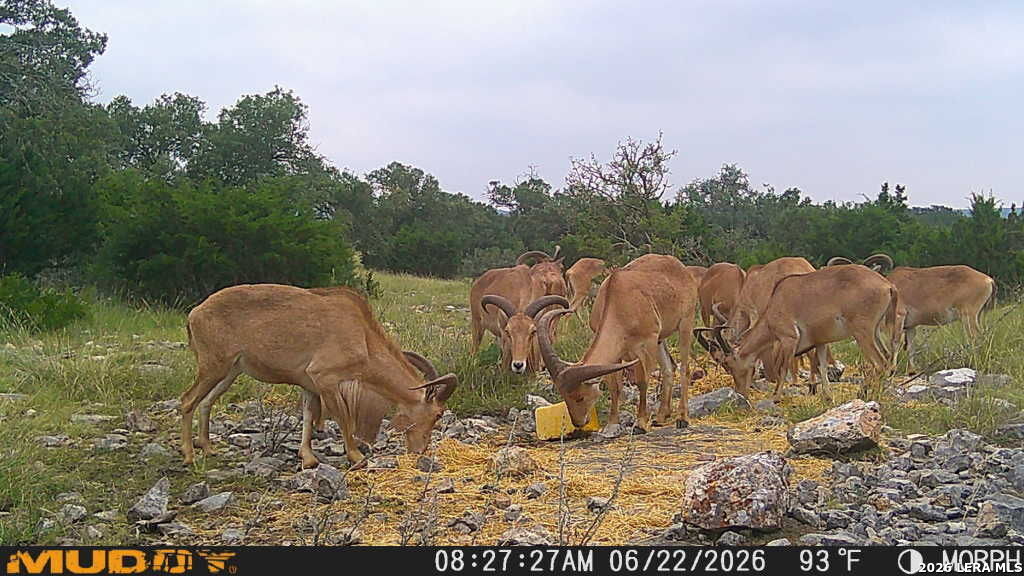 76 Alamo Ranch Rocksprings TX 78880