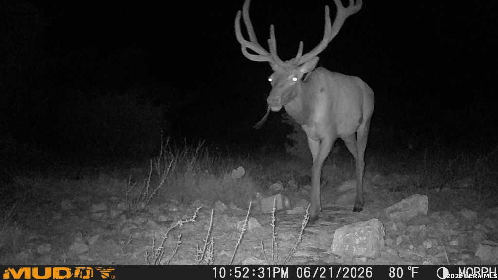 76 Alamo Ranch Rocksprings TX 78880
