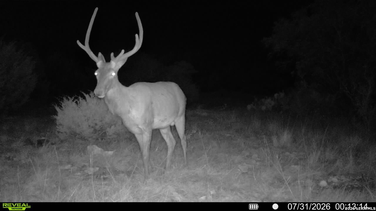 76 Alamo Ranch Rocksprings TX 78880