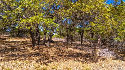 360 Palomino Springs Bandera TX 78003