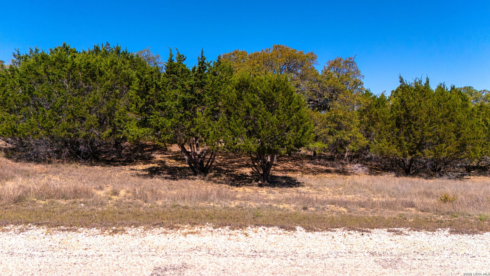 360 Palomino Springs Bandera TX 78003