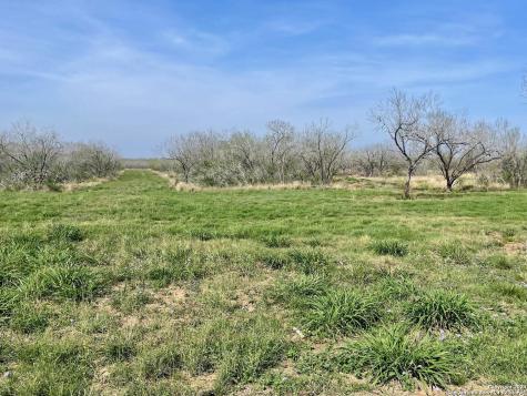 Tract 8 Fm 1332 Jourdanton TX 78026