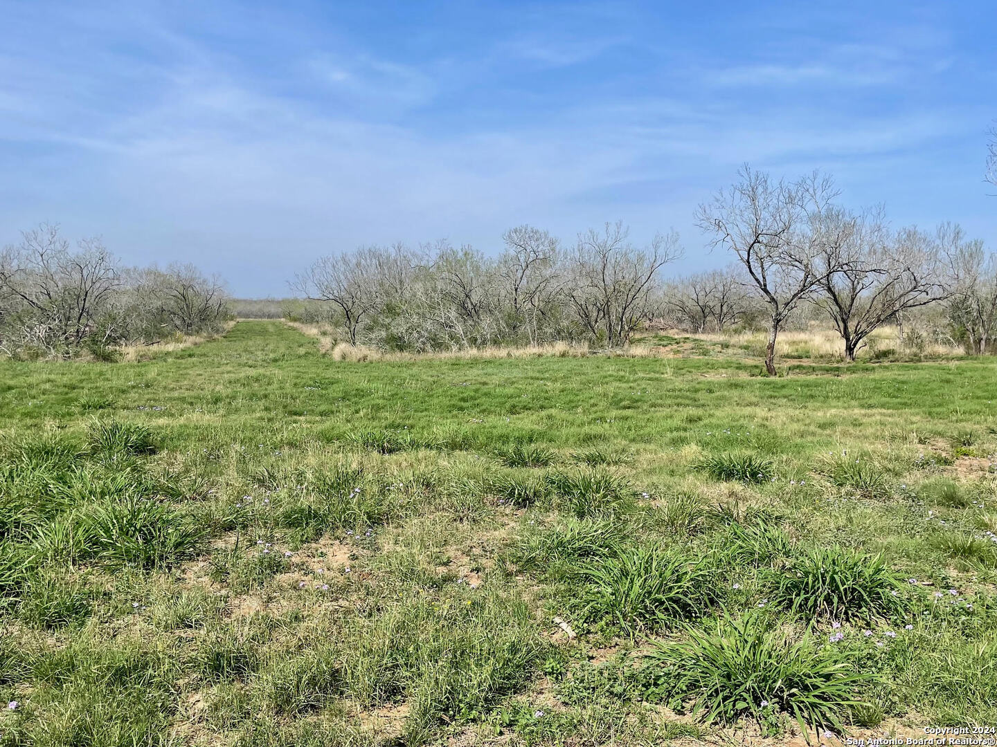 Tract 8 Fm 1332 Jourdanton TX 78026