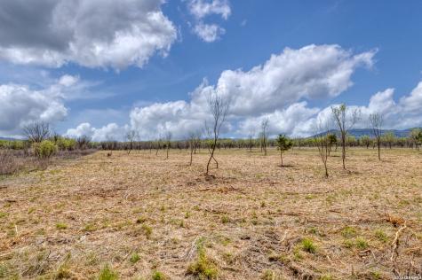 Tbd Whitetail Way Rio Frio TX 78879