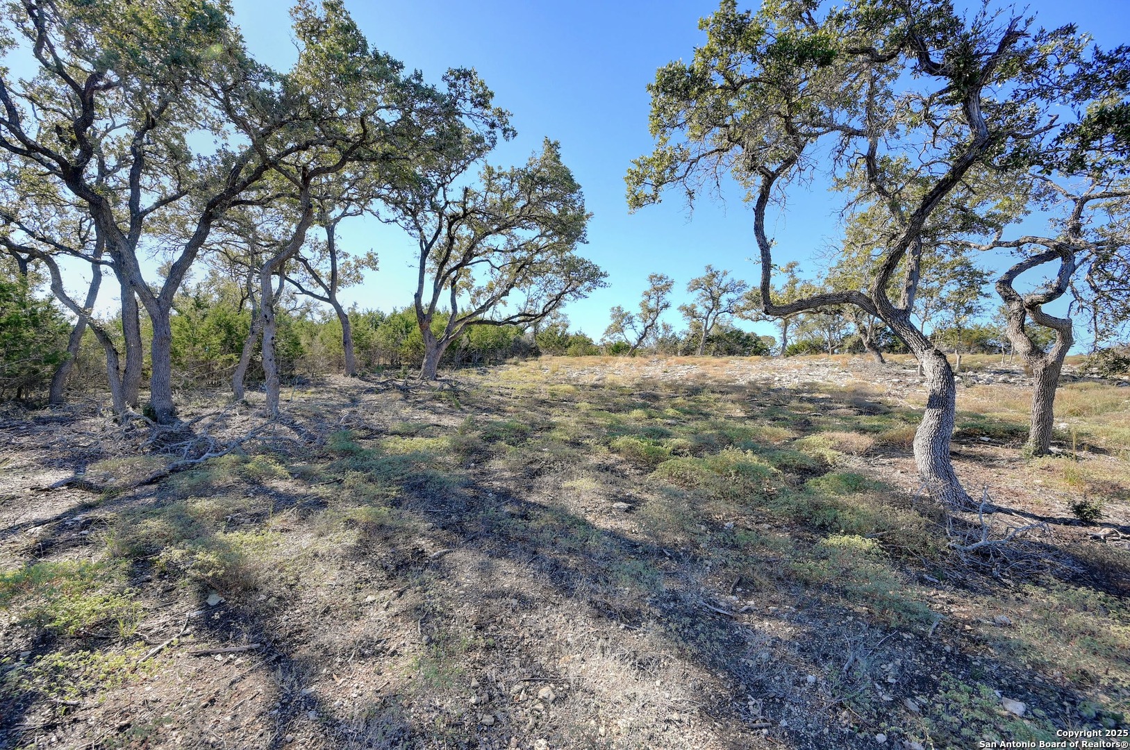 2211 San Jose Canyon Lake TX 78133