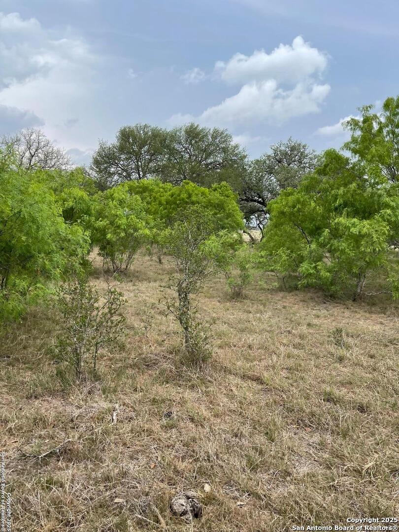 Tract 4 Hartfield Seguin TX 78155