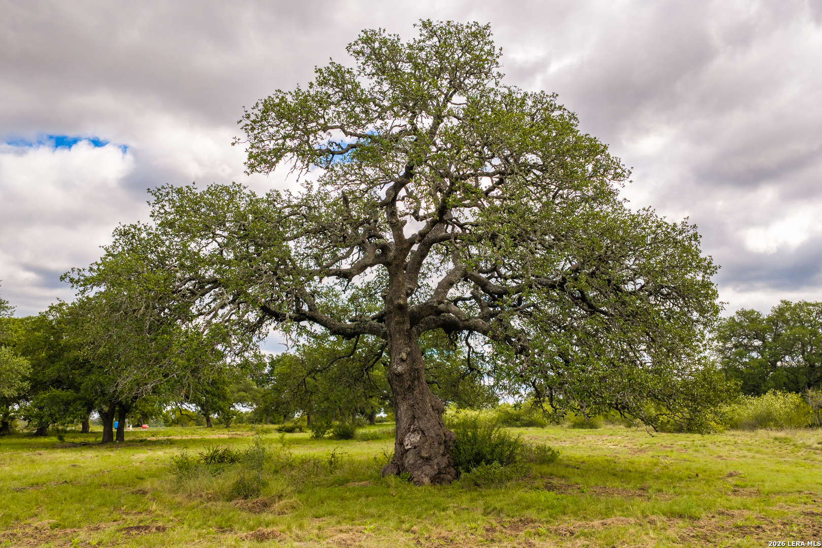 3145 N Grape Creek Road Fredericksburg TX 78624