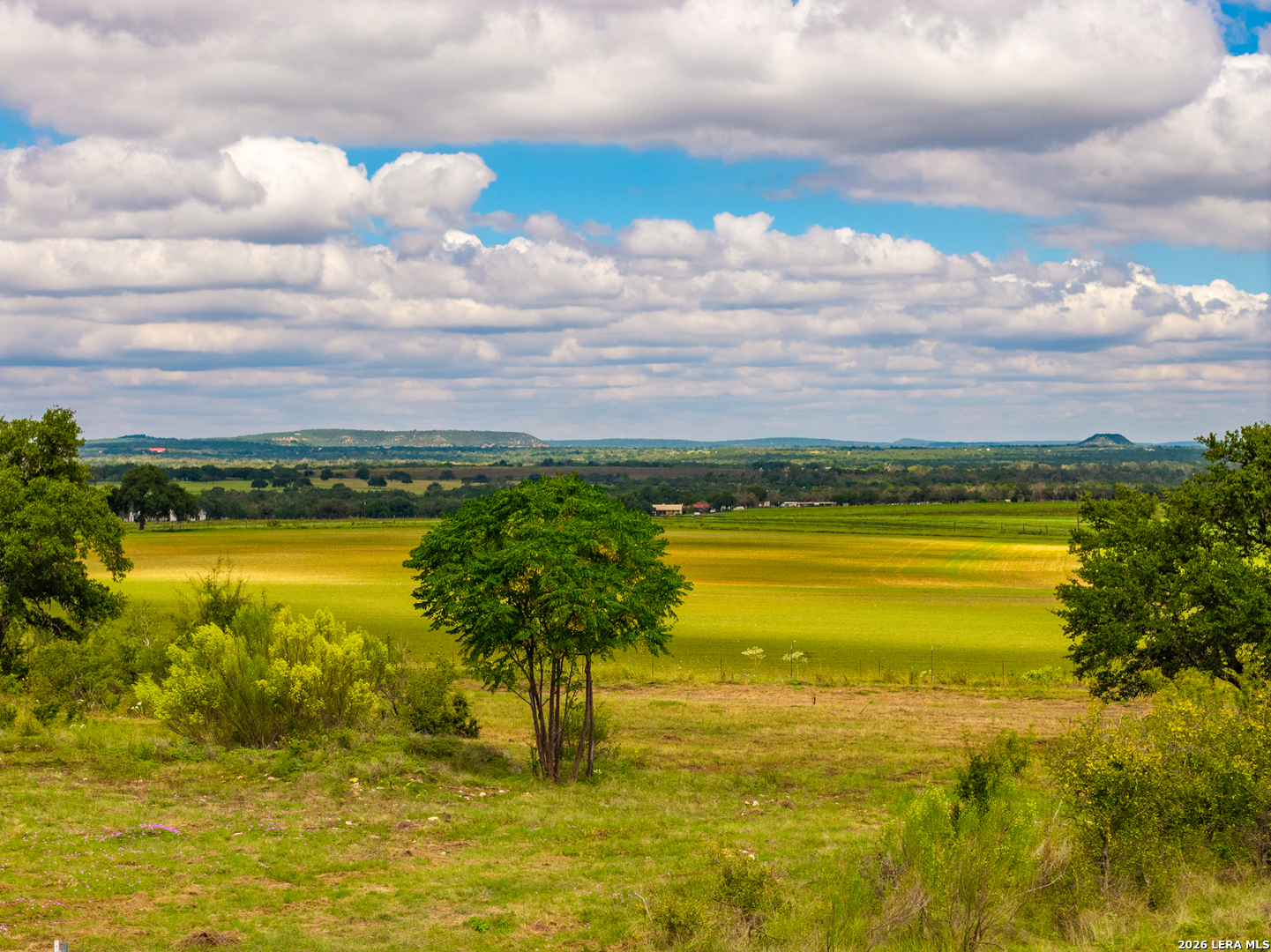 3145 N Grape Creek Road Fredericksburg TX 78624