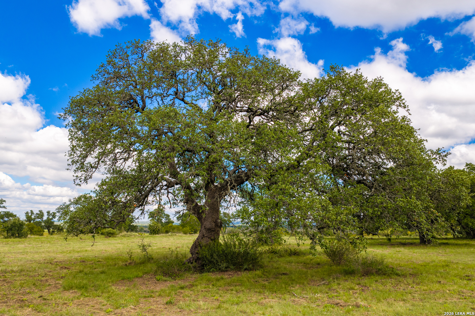 3145 N Grape Creek Road Fredericksburg TX 78624