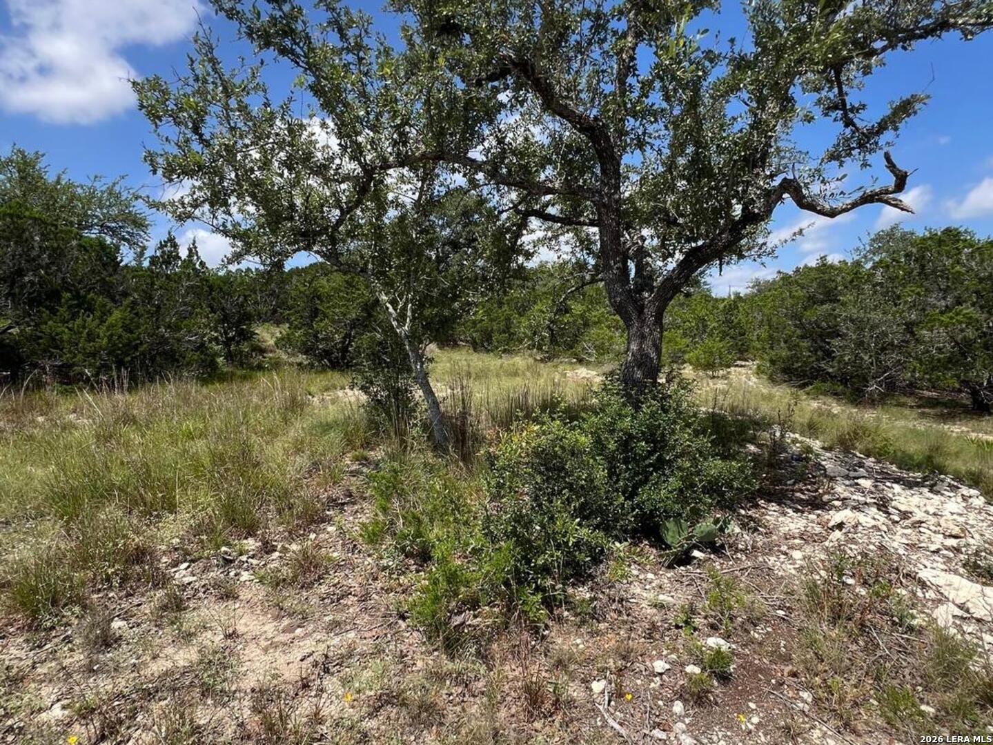 1188 Cliff Drive Spring Branch TX 78070