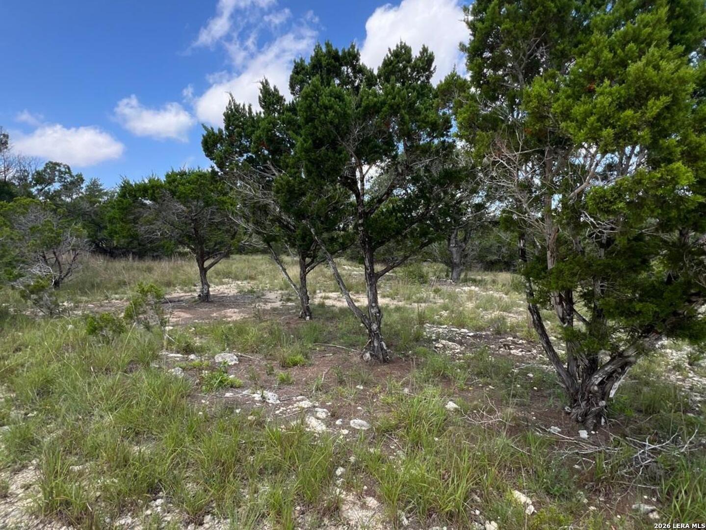 1188 Cliff Drive Spring Branch TX 78070