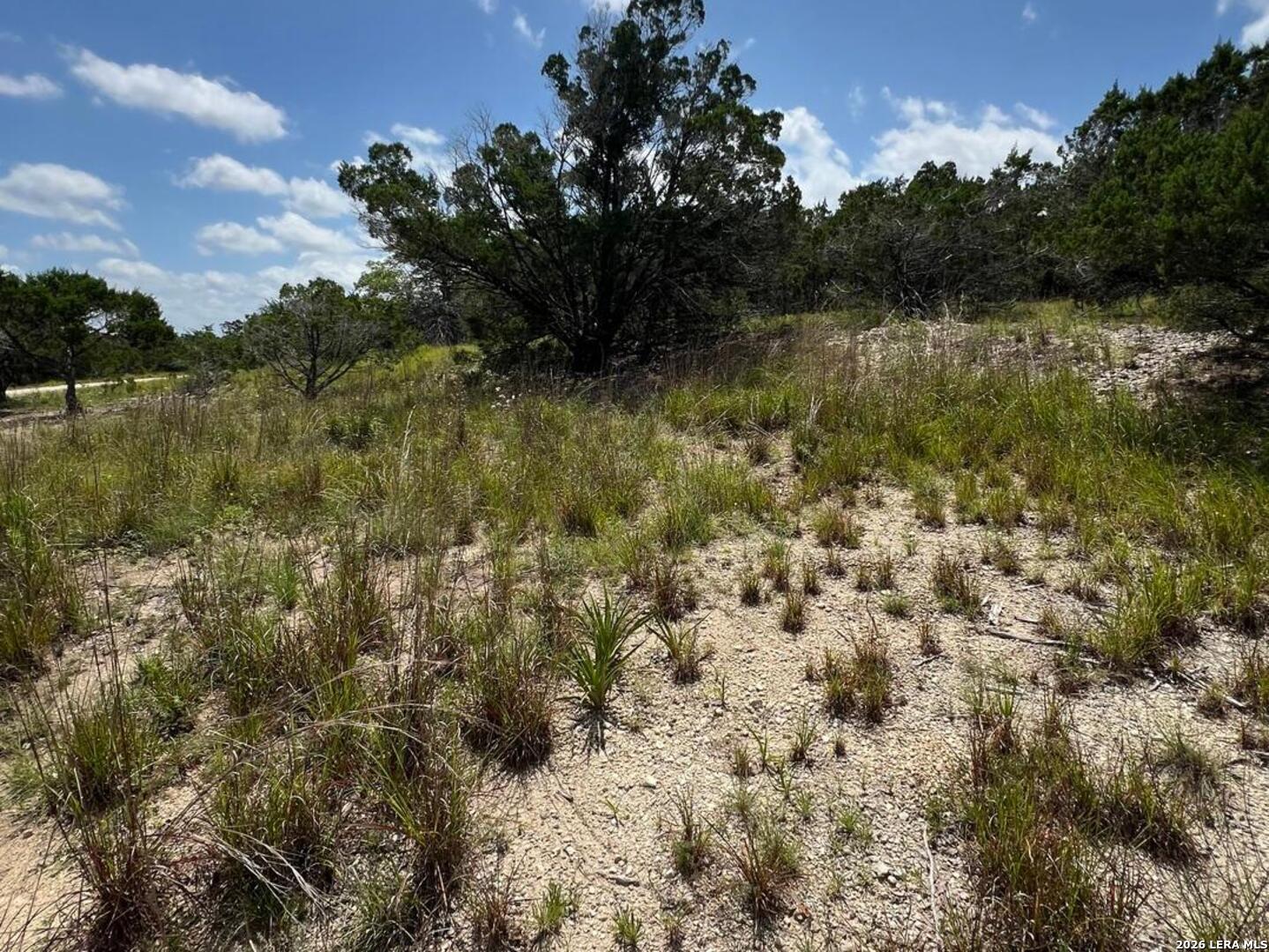 1188 Cliff Drive Spring Branch TX 78070