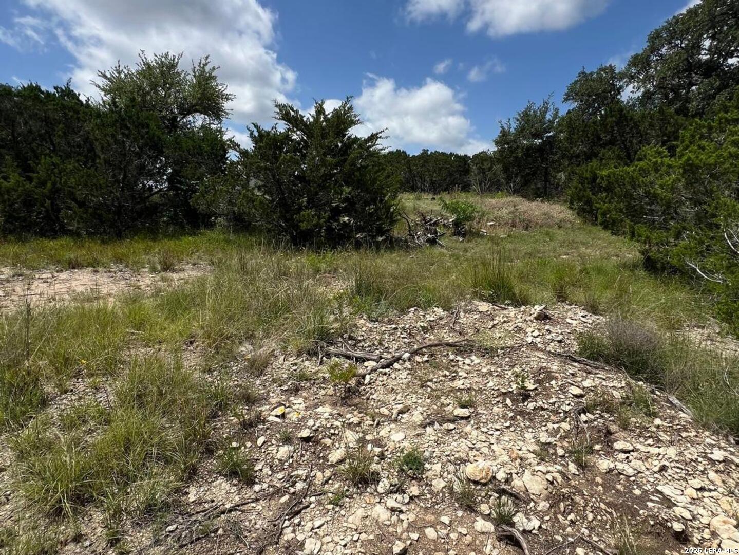 1188 Cliff Drive Spring Branch TX 78070