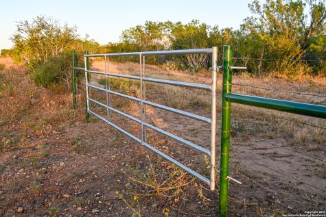 Lot 36 County Road 2500 Bigfoot TX 78005