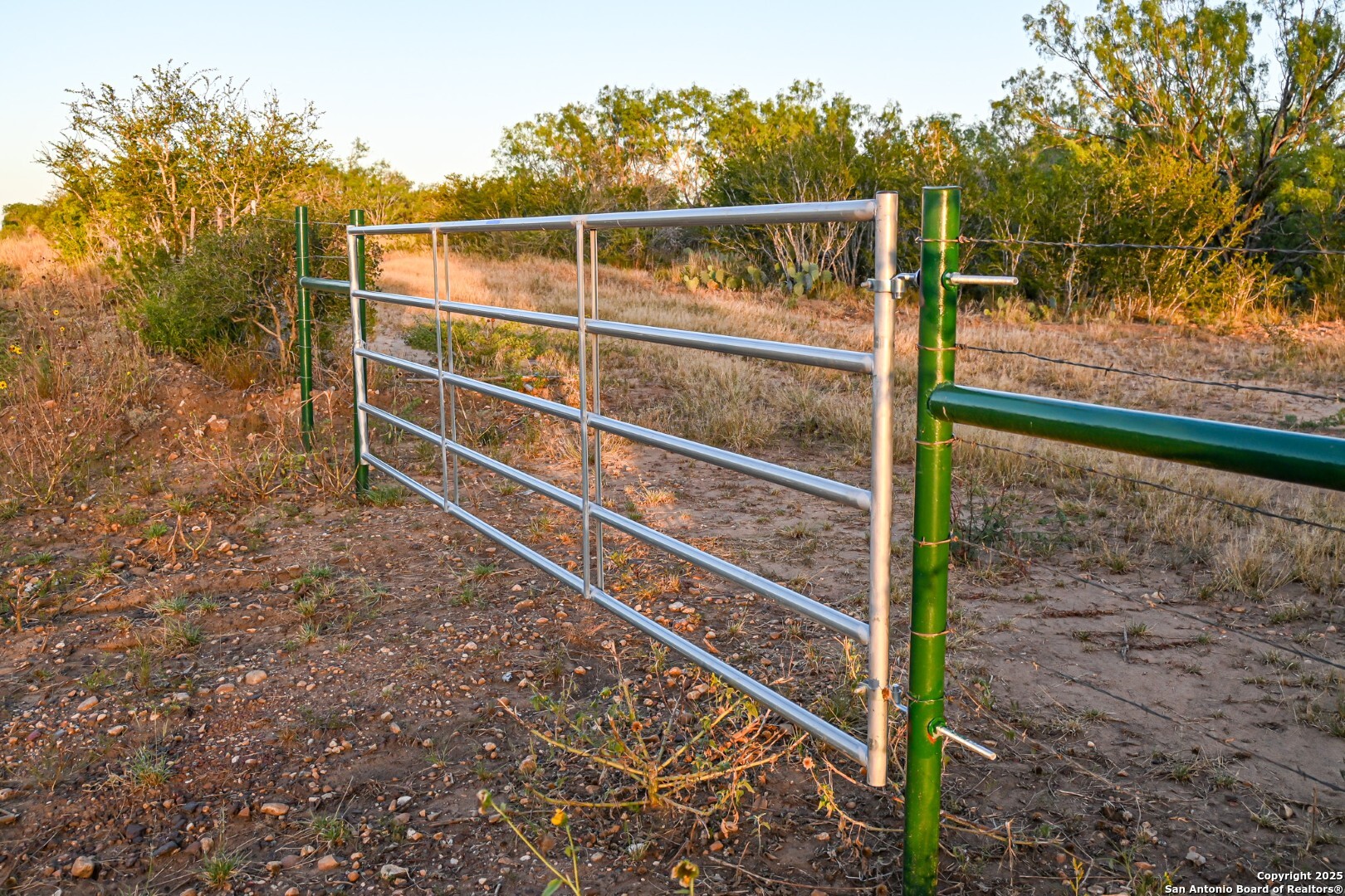 Lot 36 County Road 2500 Bigfoot TX 78005