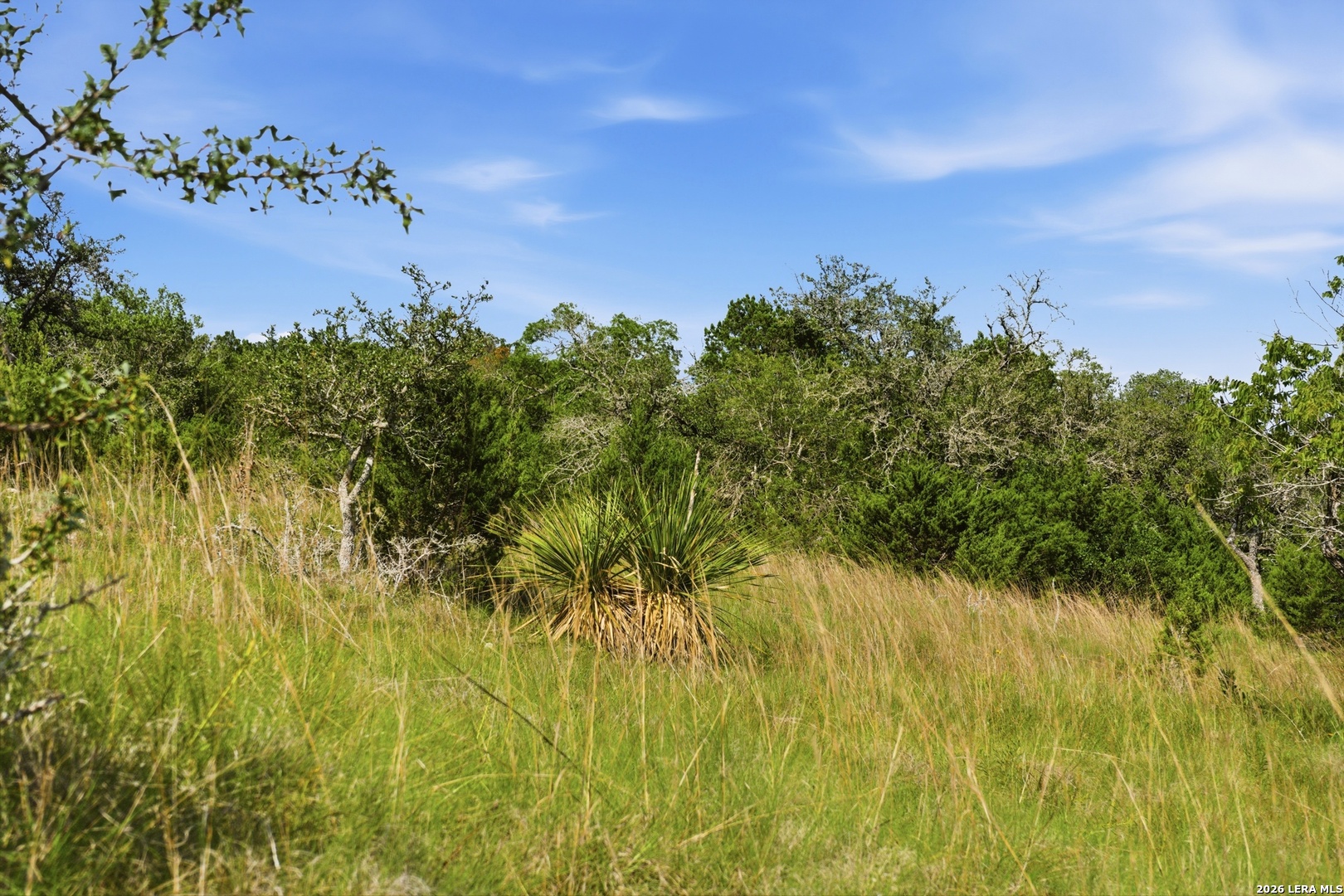 37 Busby Road Boerne TX 78006