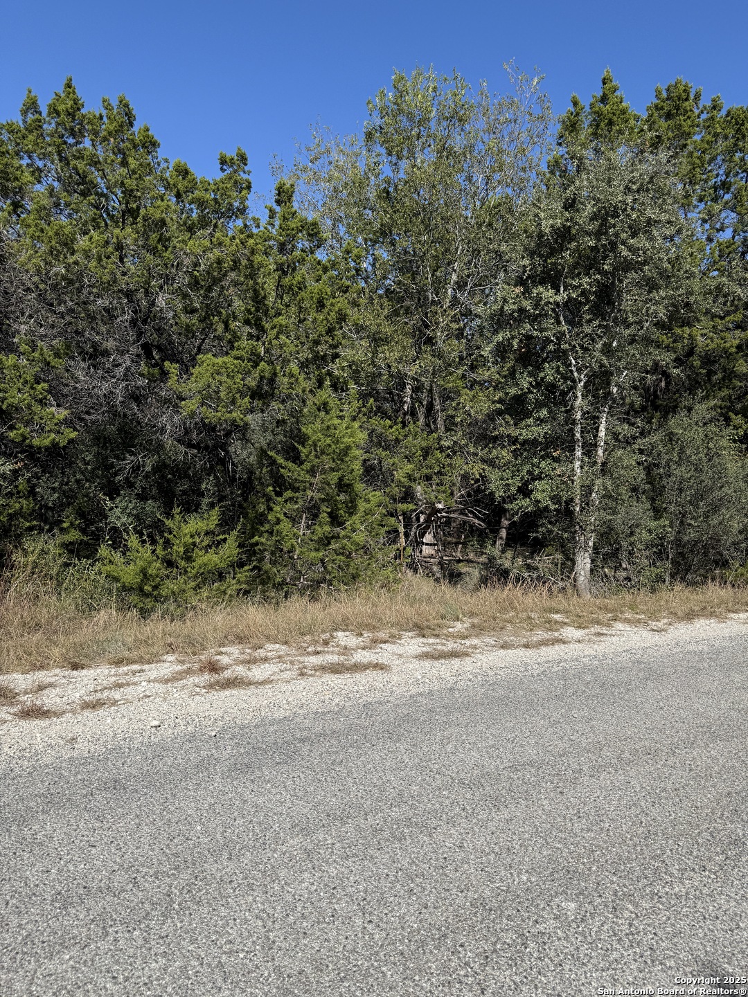 (LT)394 Forest Trail Drive Bandera TX 78003