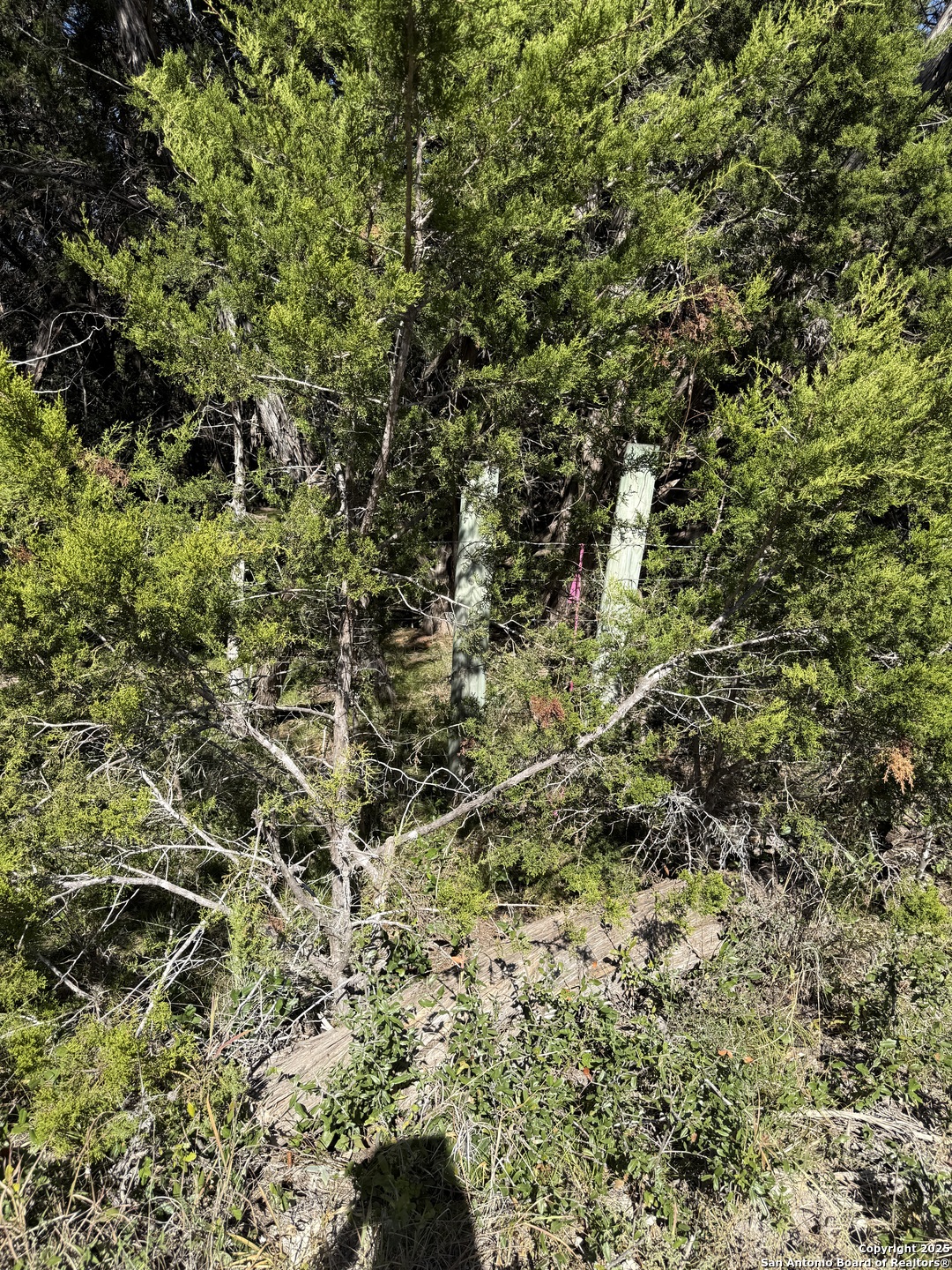 (LT)394 Forest Trail Drive Bandera TX 78003