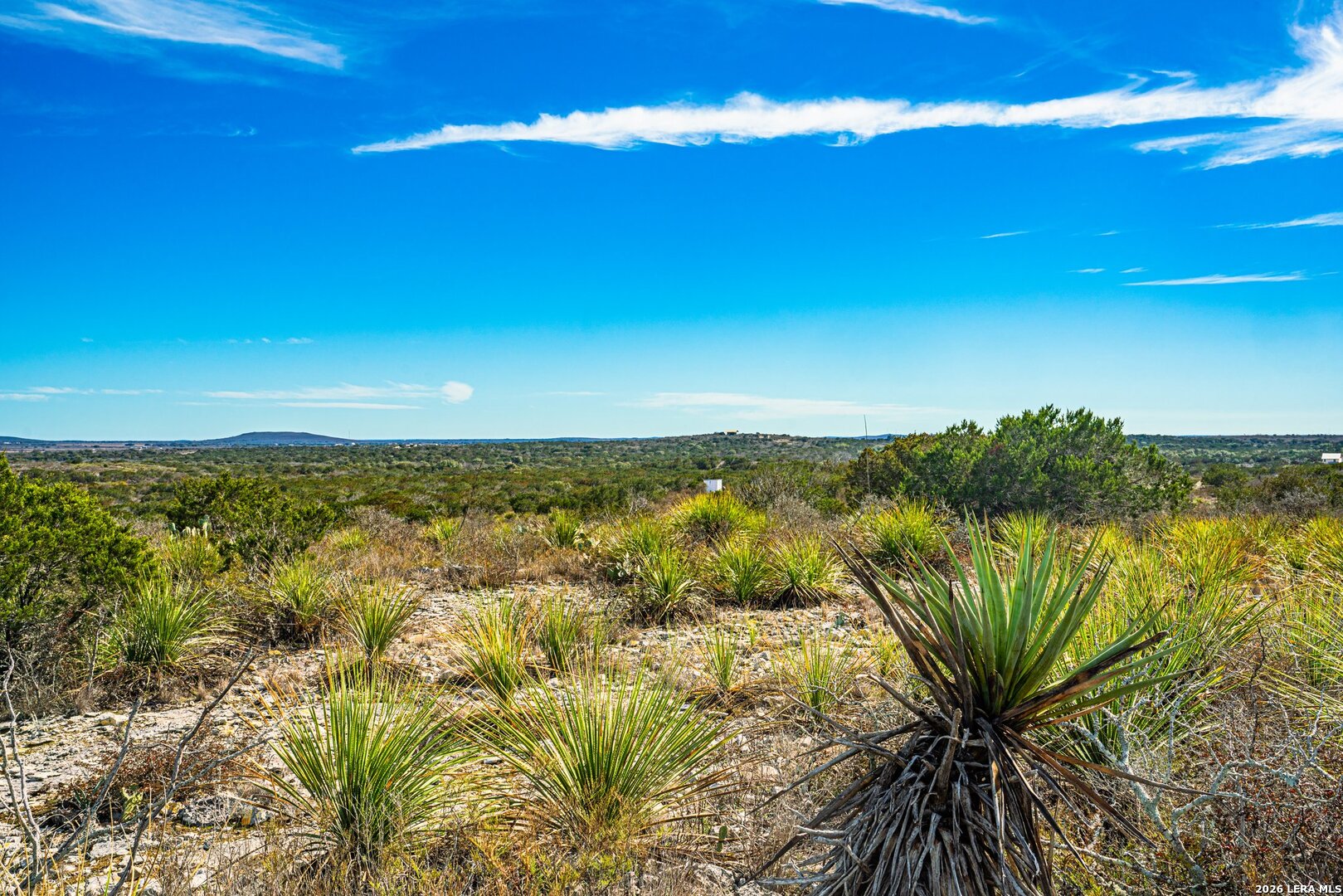 113 County Road 429b Uvalde TX 78801