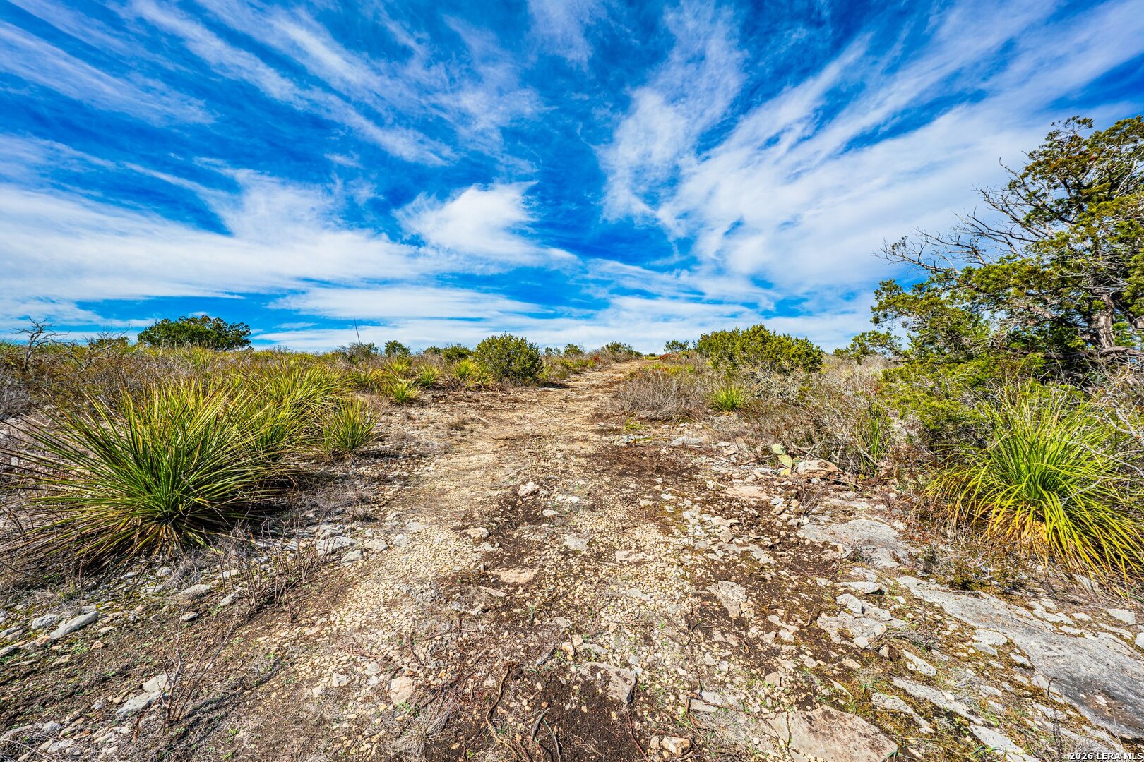 113 County Road 429b Uvalde TX 78801