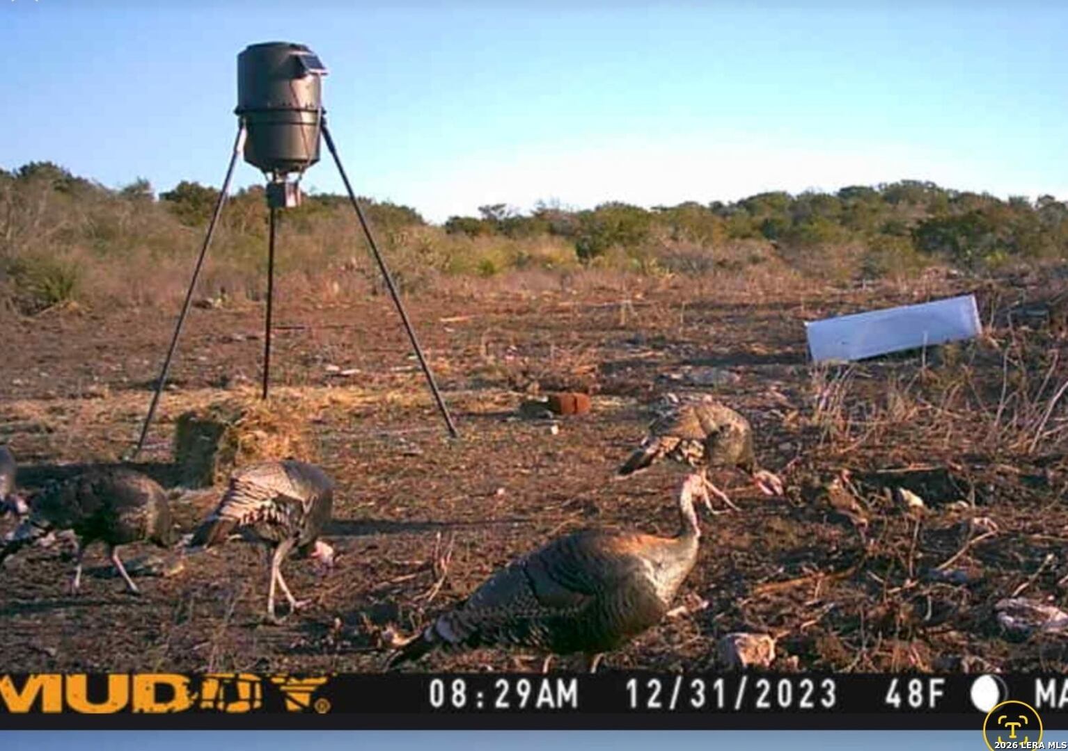 113 County Road 429b Uvalde TX 78801