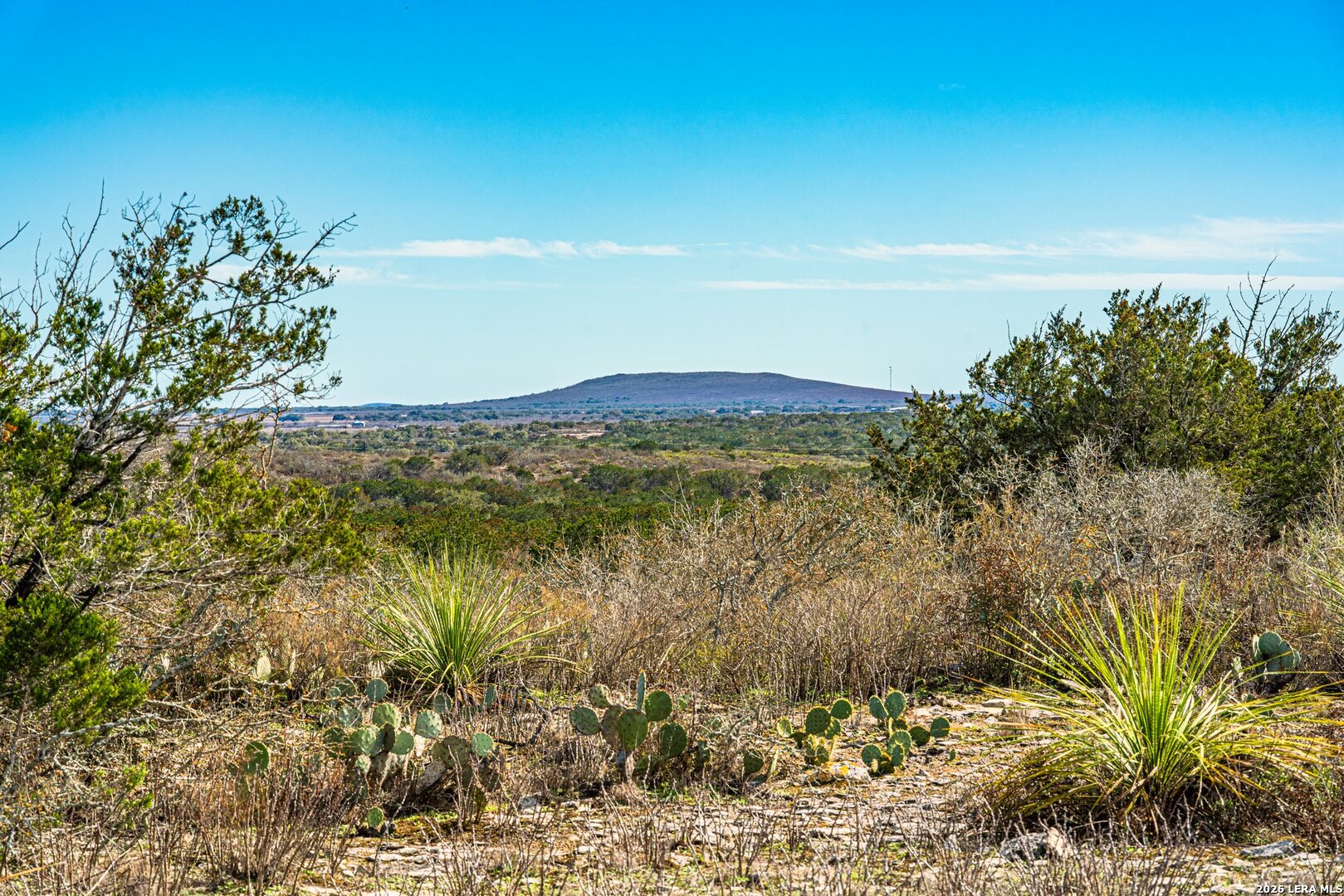 113 County Road 429b Uvalde TX 78801