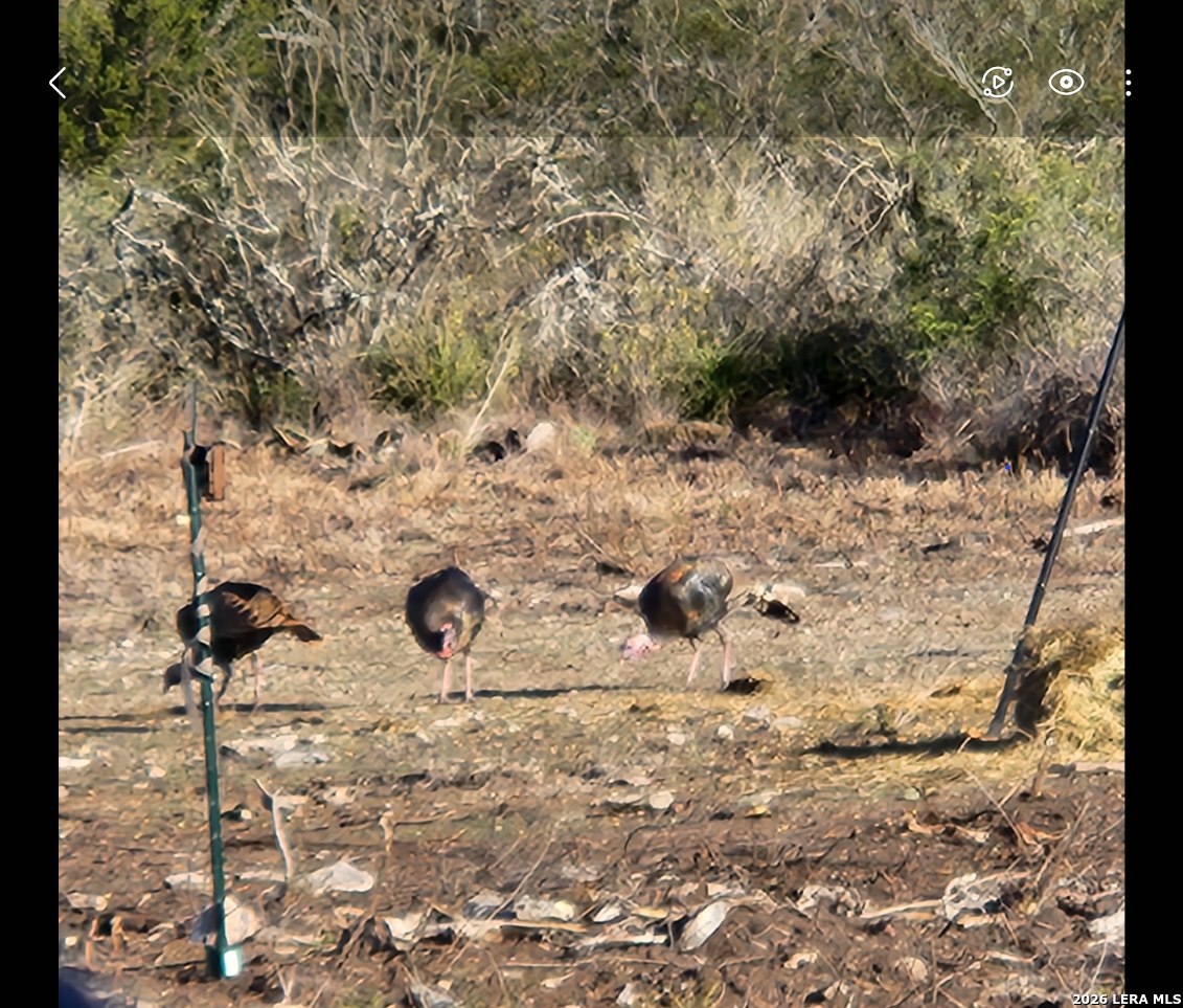 113 County Road 429b Uvalde TX 78801