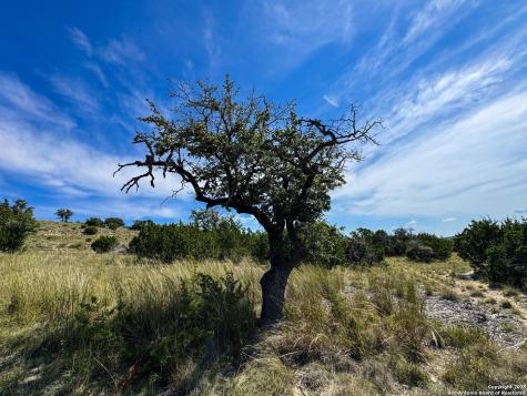 Lot 90 Big Sky Court Blanco TX 78606