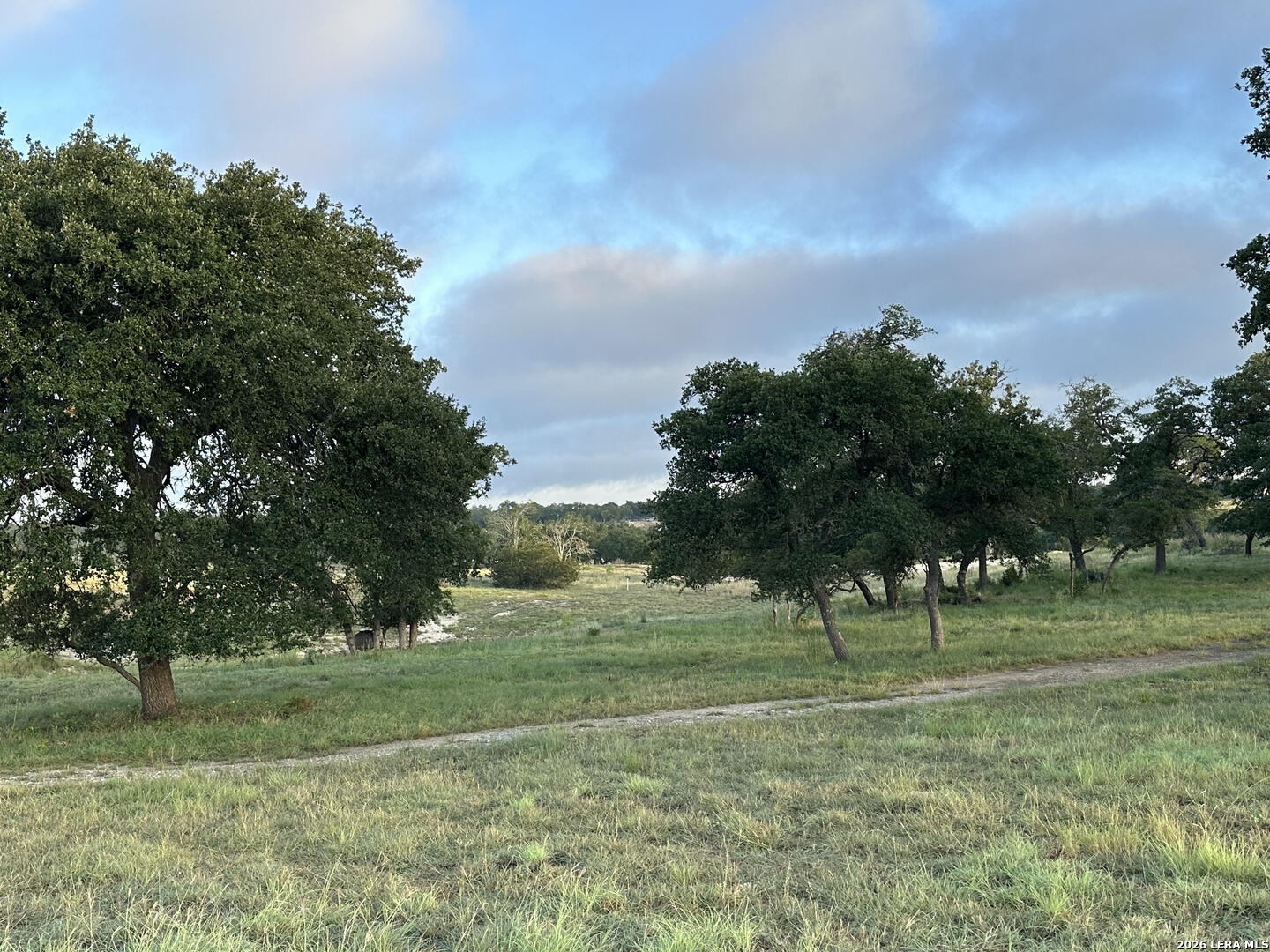 171 Flowering Sage Fredericksburg TX 78624