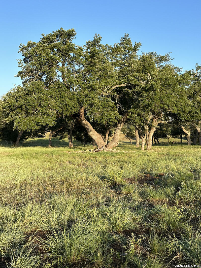 171 Flowering Sage Fredericksburg TX 78624