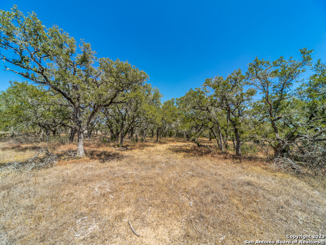 680 Annabelle Avenue Bulverde TX 78163
