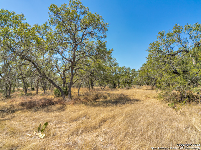 680 Annabelle Avenue Bulverde TX 78163